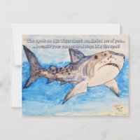 Requin tigre