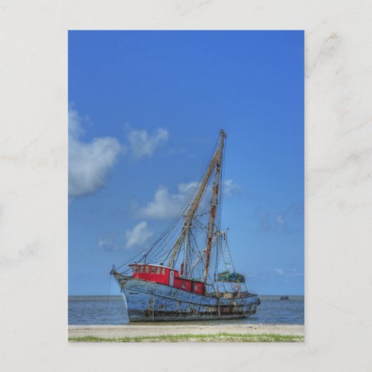 Carte Postale Requin tigre (Devant)