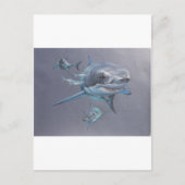 Carte Postale Requins à la baie (Devant)