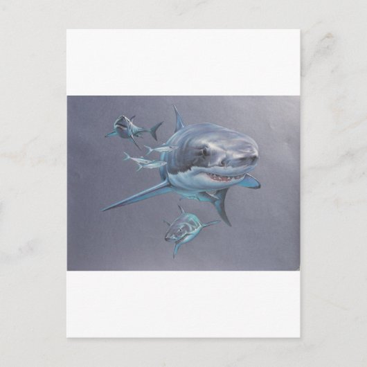 Carte Postale Requins à la baie (Devant)