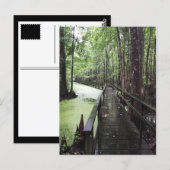 Carte Postale réserve côtière de santee (Devant / Derrière)