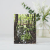 Carte Postale réserve côtière de santee (Debout devant)