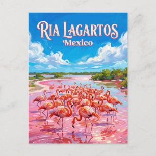Carte Postale Réserve de biosphère de Ria Lagartos Mexique
