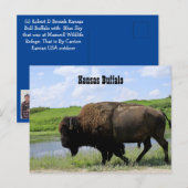 Carte Postale Réserve faunique de bison de Kansas Maxwell (Devant / Derrière)