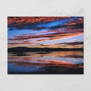 Carte Postale Réserve faunique nationale de Lower Klamath