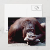 Carte Postale Réserve faunique - Primates 10 (Devant / Derrière)
