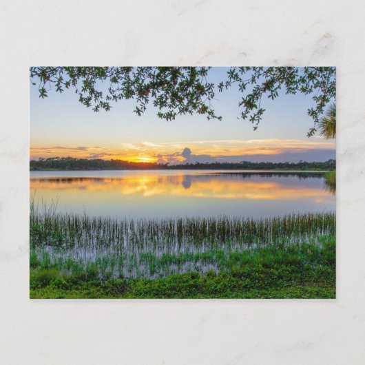 Carte Postale Réserve George Lestrange, Fort Pierce, Floride (Devant)