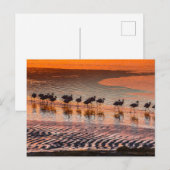 Carte Postale Réserve nationale de faune andine Eduardo Abaroa (Devant / Derrière)