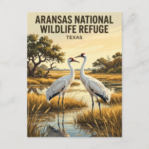 Carte Postale Réserve nationale de faune d'Aransas États-Unis