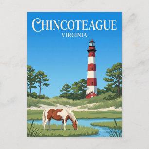 Carte Postale Réserve nationale de faune de Chincoteague États-U