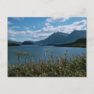 Carte Postale Réserve nationale de faune de Kodiak