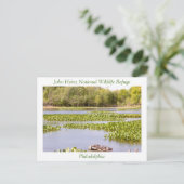 Carte Postale Réserve nationale de faune John Heinz (Debout devant)