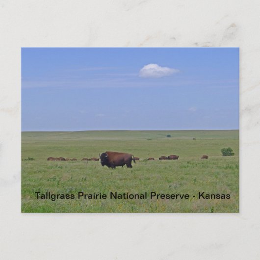 Carte Postale Réserve nationale des Prairies de Tallgrass - Kans (Devant)
