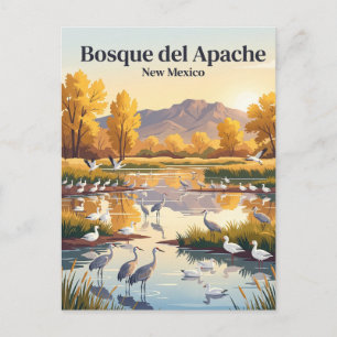 Carte Postale Réserve nationale faunique de Bosque del Apache