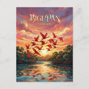 Carte Postale Réserve naturelle de Bigi Pan Suriname