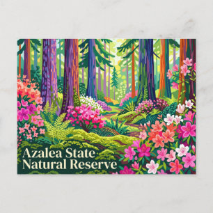 Carte Postale Réserve naturelle de l'État d'Azalea Californie