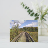 Carte Postale Réserve naturelle de l'Université de Binghamton (Debout devant)