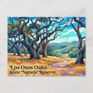 Carte Postale Réserve naturelle d'État des chênes de Los Osos Ca