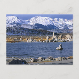 CARTE POSTALE RÉSERVE NATURELLE ÉTATIQUE DE TUFA DU LAC MONO,