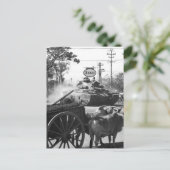 Carte Postale Réservoir de la 1ère Bn., 69e Armor, 25e Inf. Div. (Debout devant)