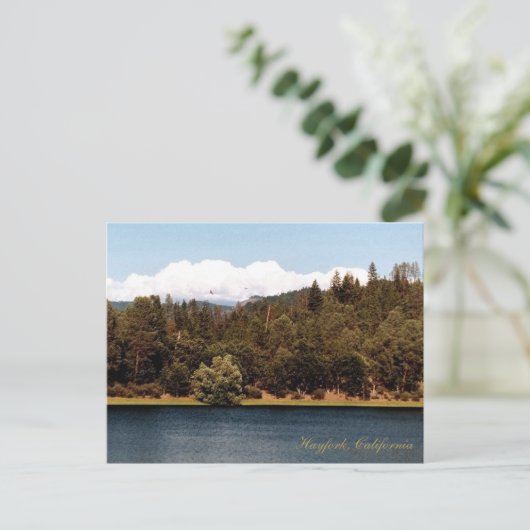 Carte Postale Réservoir d'Ewing au printemps.... (Debout devant)