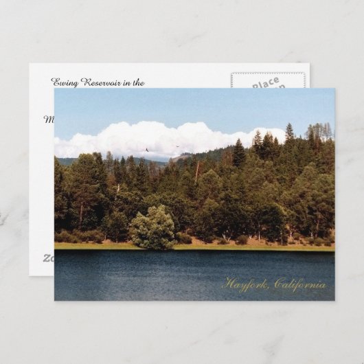 Carte Postale Réservoir d'Ewing au printemps.... (Devant / Derrière)