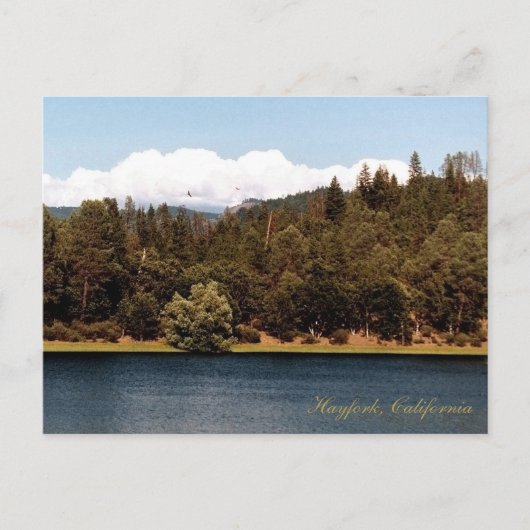 Carte Postale Réservoir d'Ewing au printemps.... (Devant)