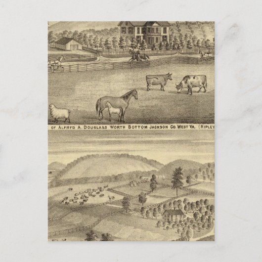Carte Postale Résidence Alfred A Douglass (Devant)