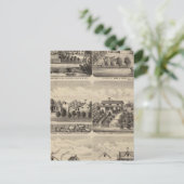 Carte Postale Résidences, Minnesota 2 (Debout devant)