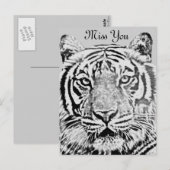 Carte Postale résistance du tigre_ (Devant / Derrière)