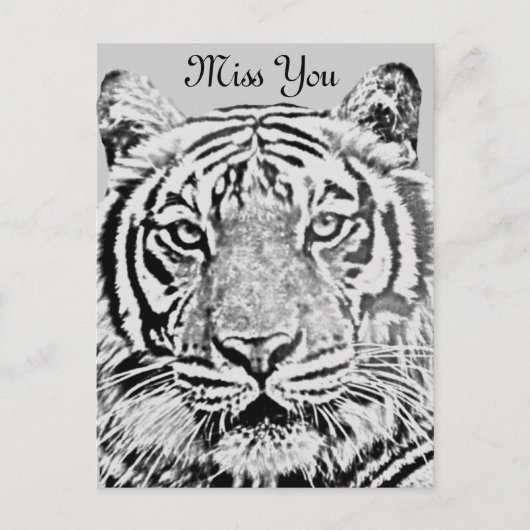 Carte Postale résistance du tigre_ (Devant)