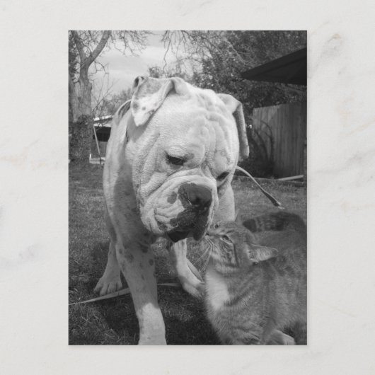 Carte Postale respect (Devant)