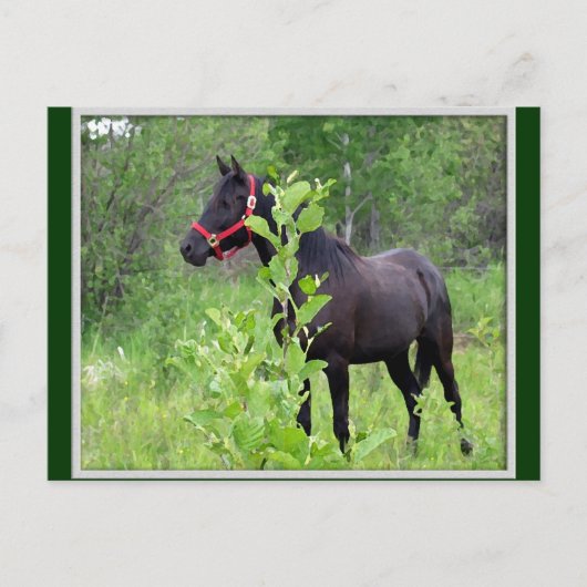 Carte Postale Respiré (Devant)