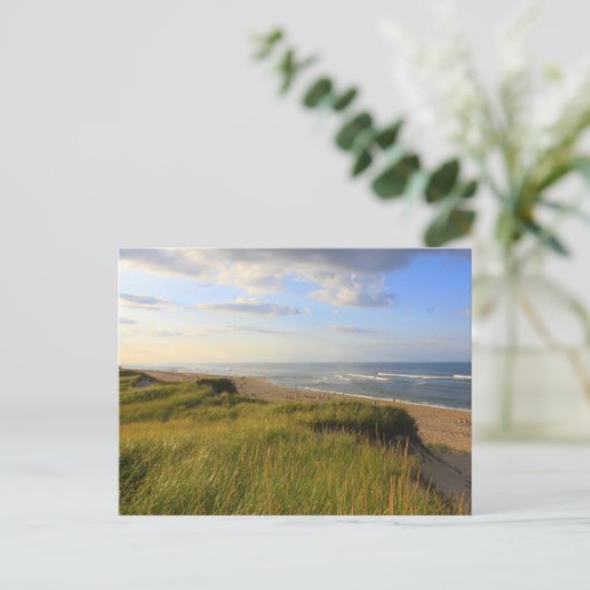 Carte Postale Responsable du Meadow Beach Truro Cape Cod (Debout devant)