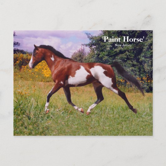 Carte postale Ressort Cheval (Devant)