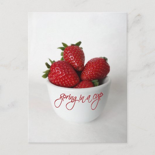 Carte Postale ressort dans une tasse (Devant)