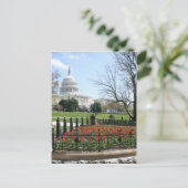 Carte Postale Ressort de bâtiment de capitol des USA (Debout devant)