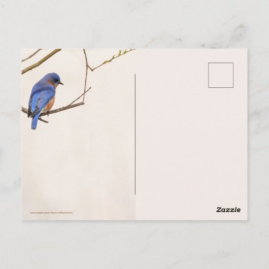 Carte Postale Ressort de Bluebird (Dos)