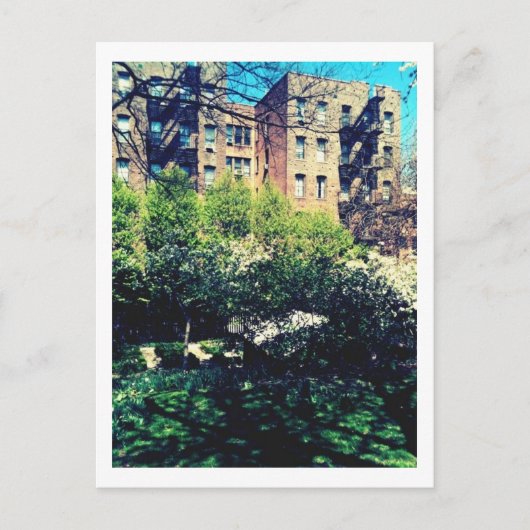 Carte Postale Ressort en bois (Devant)