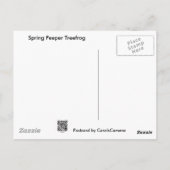 Carte Postale Ressort Peeper (Pseudacris crucifer) Treefrog Item (Dos)