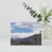 Carte Postale ressorts de palmiers (Debout devant)