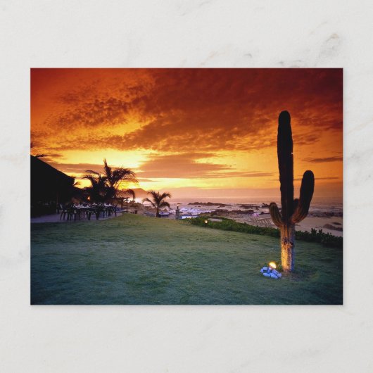 Carte Postale Restaurant La Concha, Baja, Mexique (Devant)