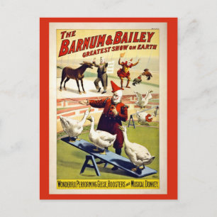 Carte Postale Restauré, Barnum et Bailey, oies et âne