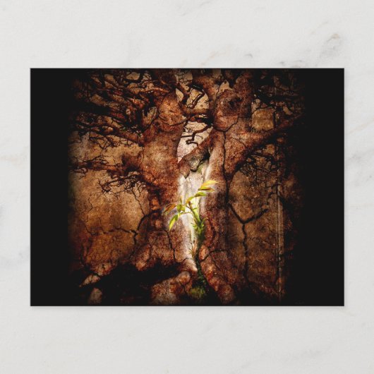 Carte Postale Restaurer les années de désolation (Devant)