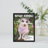 CARTE POSTALE RESTE COOL ! (Debout devant)