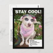 CARTE POSTALE RESTE COOL ! (Devant / Derrière)