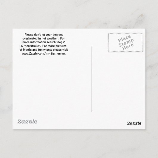 CARTE POSTALE RESTE COOL ! (Dos)