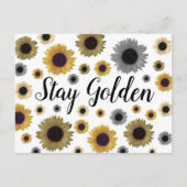 Carte Postale Reste doré, tournesol (Devant)