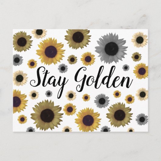 Carte Postale Reste doré, tournesol (Devant)