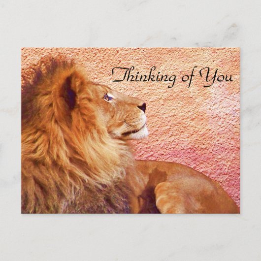 Carte Postale Rester concentré_ (Devant)